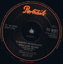 The Flaming Mussolinis : Swallow Glass (Extended Remix) (12", Single)