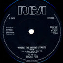 Bucks Fizz : When We Were Young (7", Single, Sol)
