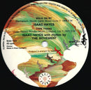 Isaac Hayes : Theme From Shaft (12", Comp)