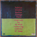 Pinegrove : 11:11 (LP, Album, Dlx, Ltd, Red)