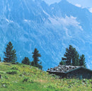 Goldfrapp : Felt Mountain (LP, Album, Ltd, RE, S/Edition, Gol)