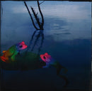 Spock's Beard : Feel Euphoria (CD, Album)