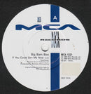 Big Bam Boo : If You Could See Me Now (7")