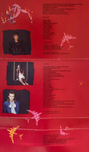 Culture Club : Waking Up With The House On Fire (Cass, Album)