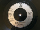 Simply Red : Holding Back The Years (7", Single)