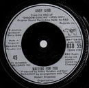 Andy Gibb : Desire (7")