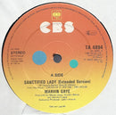 Marvin Gaye : Sanctified Lady (12")