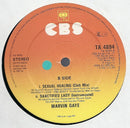 Marvin Gaye : Sanctified Lady (12")