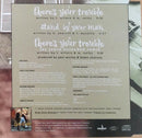 Dixie Chicks : There's Your Trouble (CD, Single)