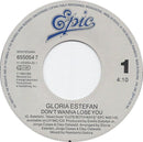 Gloria Estefan : Don't Wanna Lose You (7", Single)
