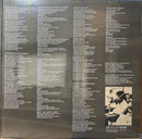 Albert Hammond : It Never Rains In Southern California (LP, Album, ¥2,)