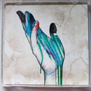 The Color Morale : Hold On Pain Ends (CD, Album)