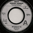 Dexys Midnight Runners : Because Of You (7", Single, Lar)