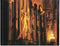 Alison Krauss + Union Station* : Live (2xCD, Album)