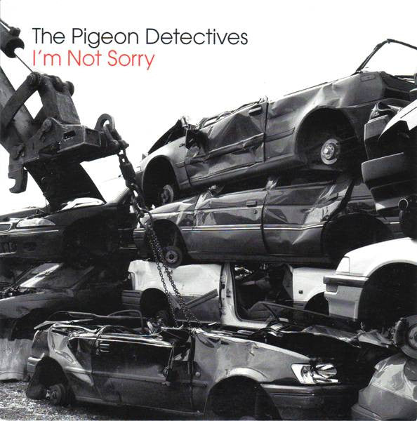 The Pigeon Detectives : I'm Not Sorry (7", Single)