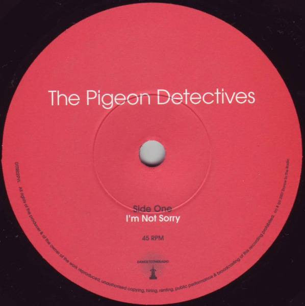 The Pigeon Detectives : I'm Not Sorry (7", Single)