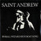 Saint Andrew : Pinball Wizard (7", Single)