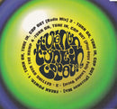 Freak Power : Turn On, Tune In, Cop Out (CD, Maxi)