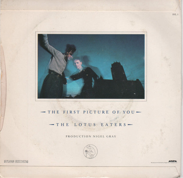 The Lotus Eaters : The First Picture Of You (7", Single, Glo)