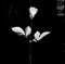 Depeche Mode : Violator (CD, Album, RP)