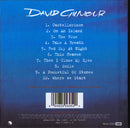 David Gilmour : On An Island (CD, Album, Dig)