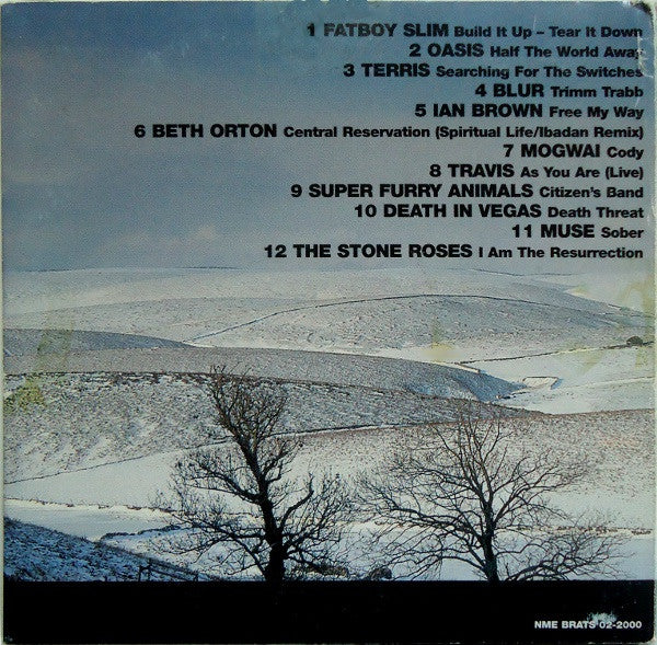 Various : The Bands Who (CD, Comp)