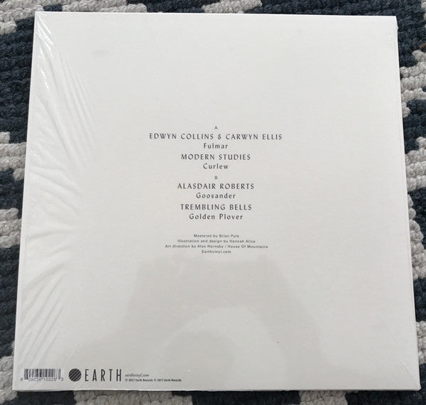 Various : Avocet Revisited (12", EP)