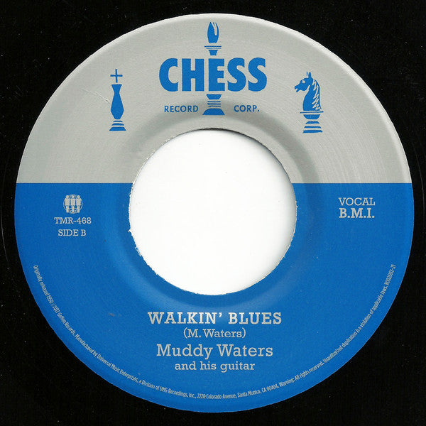 Muddy Waters And His Guitar* : Rollin' Stone (7", RE)