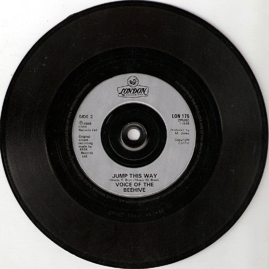 Voice Of The Beehive : Don't Call Me Baby (7", Single)