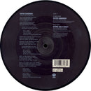 Metallica : Enter Sandman (7", Single, Pic)