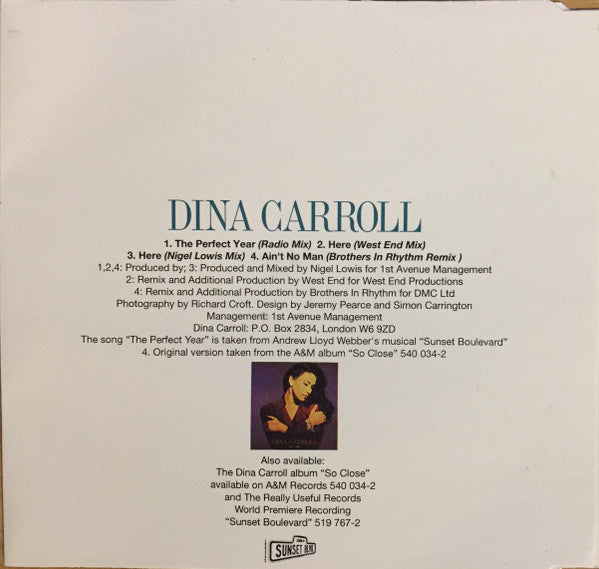 Dina Carroll : The Perfect Year (CD, Single, Promo)