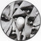 Taylor Swift : Reputation (CD, Album, Sli)