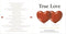 Various : True Love (CD, Comp)