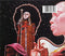 Miles Davis : Bitches Brew (2xCD, Album, RE, RM, O-C)