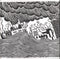 Thom Yorke : The Eraser (CD, Album, Lyn)