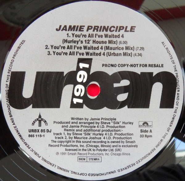 Jamie Principle : You're All I've Waited 4 (12", Promo)