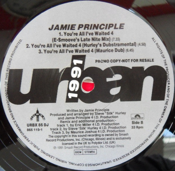 Jamie Principle : You're All I've Waited 4 (12", Promo)