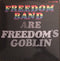 Ty Segall & Freedom Band (3) : Freedom’s Goblin (2xLP, Album)
