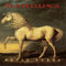 Bryan Ferry : Mamouna (CD, Album)