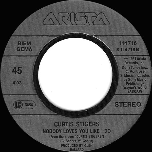 Curtis Stigers : I Wonder Why (7", Single, Inj)