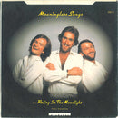 HeeBeeGeeBees* : Meaningless Songs / Posing In The Moonlight (7", Single)