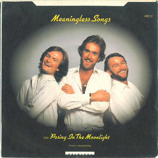 HeeBeeGeeBees* : Meaningless Songs / Posing In The Moonlight (7", Single)
