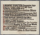 Various : Like A Hurricane (A Tribute To Neil Young) (CD, Comp)