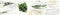 Deep Forest : Deep Forest (CD, Album, RE)