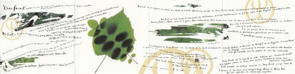 Deep Forest : Deep Forest (CD, Album, RE)