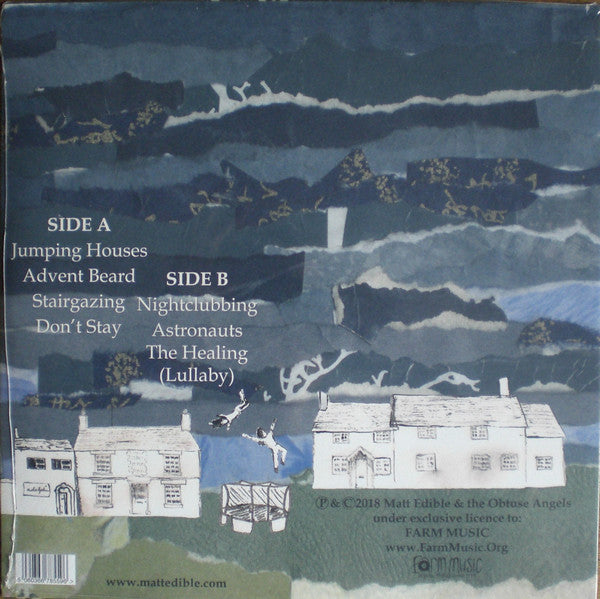Matt Edible & The Obtuse Angels : Stairgazing (LP, Album)