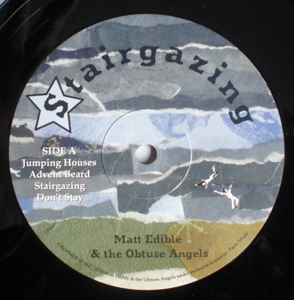 Matt Edible & The Obtuse Angels : Stairgazing (LP, Album)