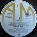 Herb Alpert : Rise (LP, Album)
