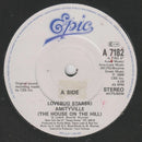 Lovebug Starski : Amityville (The House On The Hill) (7", Single)