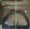 Ian Siegal : The Sh*t Hit (LP, Album, Ltd)